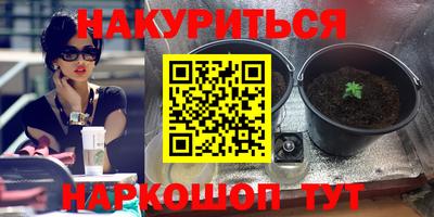 ПСИЛОЦИБИНОВЫЕ ГРИБЫ Кандалакша